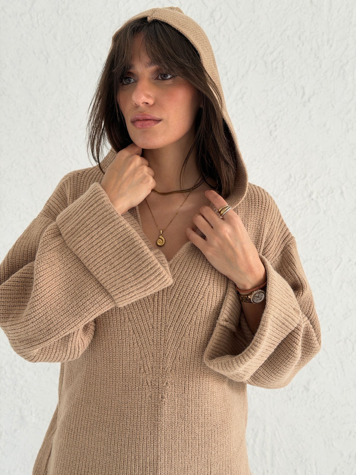 Hoodie V-Neck sweater
