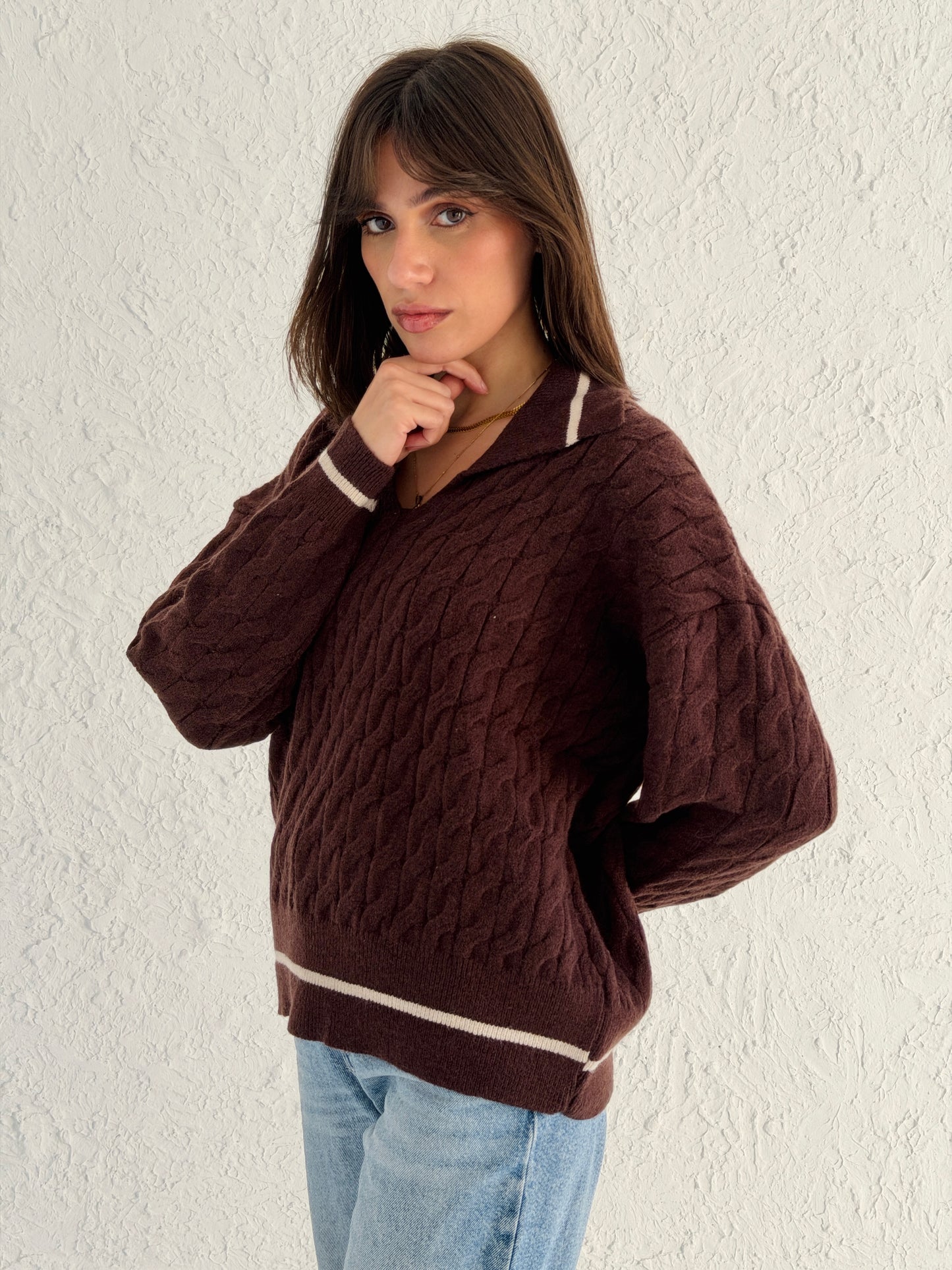 Polo Braided Sweater In Brown